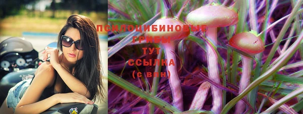 альфа пвп Гусиноозёрск