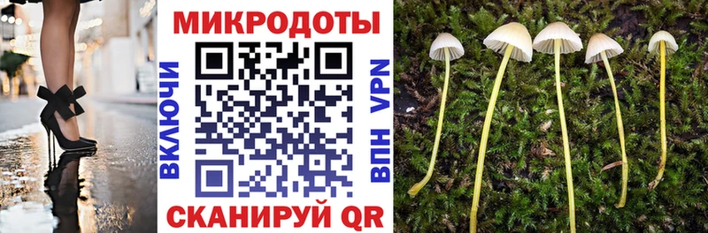 Псилоцибиновые грибы GOLDEN TEACHER Купить закладки Богородицк